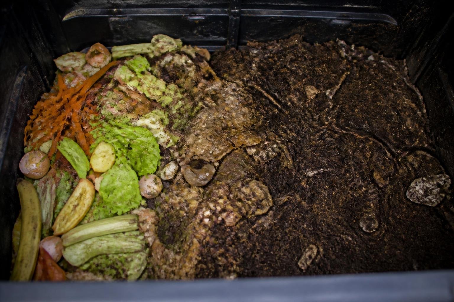 Bac de compostage en cours de transformation avec matière organique à différents stades de décomposition